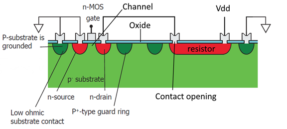Cross section of the chip.